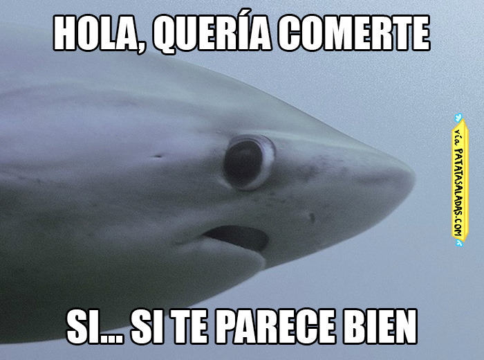 rieteconeste:  solo si no te molesta :c