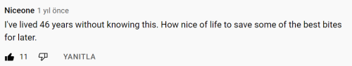 ID: A Youtube Comment With 11 Likes By Niceone, It Says "I've Lived 46 Years Without Knowing This. How