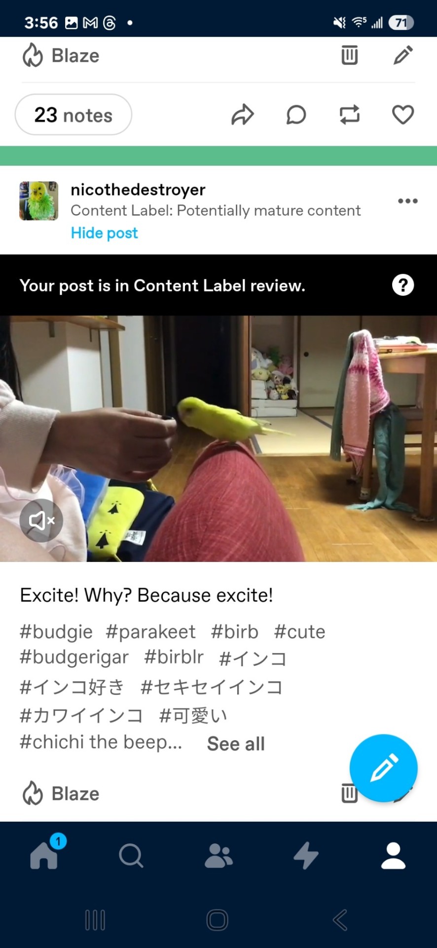 Tumblr media