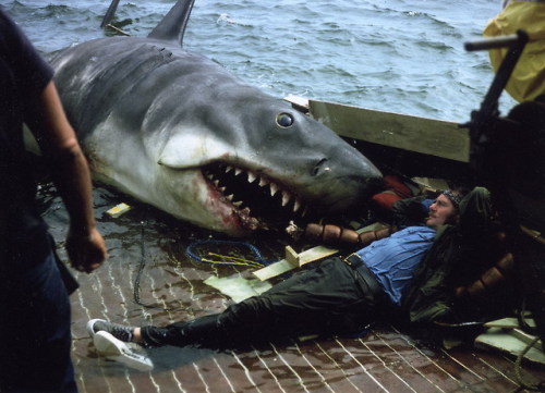A serene moment on the set of JAWS (1975).