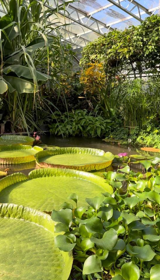 University Of Oxford Botanic Garden And Arboretum.
