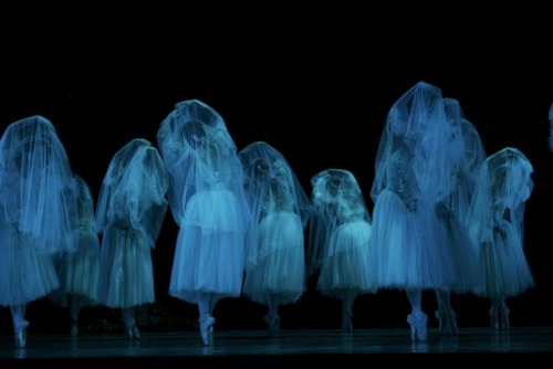 galina-ulanova:Giselle (The Australian Ballet, 2006)
