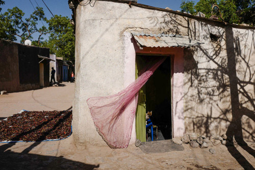 cascos-e-caricias:  Dire Dawa, Ethiopia by Andrea Torrei