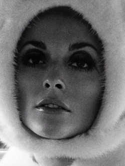  Sharon Tate by Neal Barr 