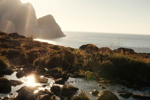 thethinker351: lofoten islands  instagram @takeme.north 