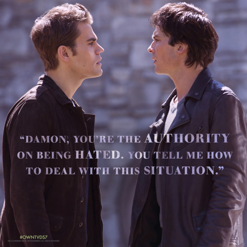 Damon Salvatore’s Relationship Advice: Hate me now. Like me eventually. Love me later. #OwnTVD