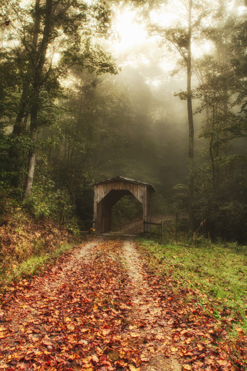 obscvred:  Source | Photographer