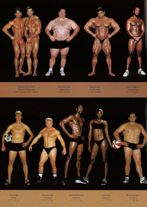 warriormale:featherlight-the-pony:thedragonflywarrior:The Body Shapes of the World’s Best Athletes C