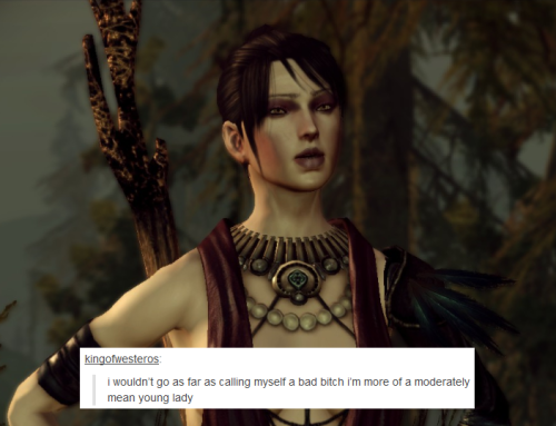 bubonickitten: Dragon Age: Origins + text posts, part 3 Sorry, I’m back again with another. Th