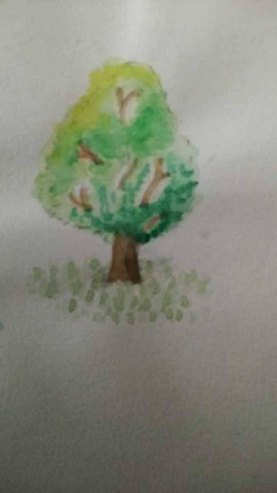 A Lots A Trees