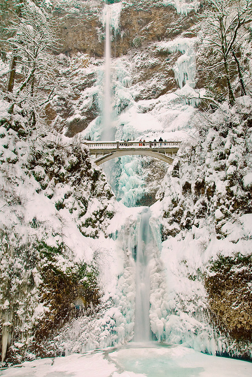 10    hellanne: Multonomah Falls Ice and Snow (by Marshall Alsup)