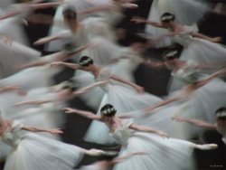 sonya-heaney:Paris Opera Ballet’s Giselle