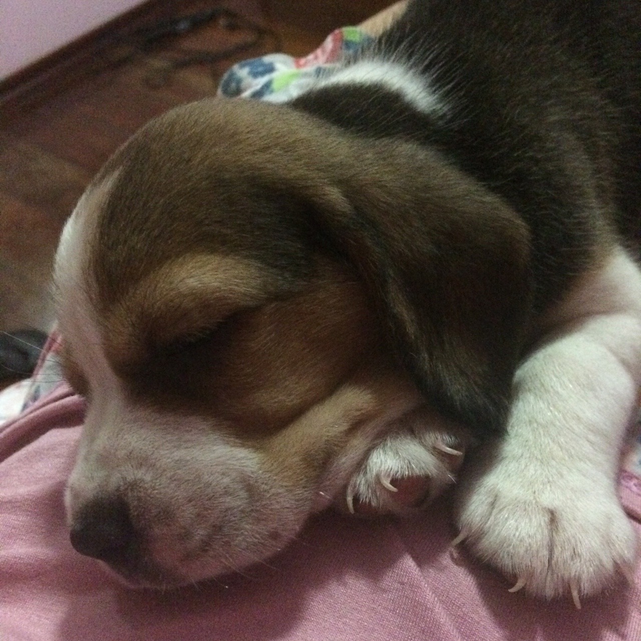 hoje dois pedaços do céu mora dentro de mim