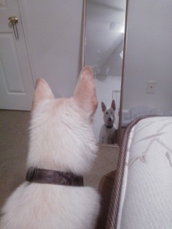 “When will my reflection show who I