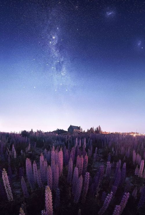 j-k-i-ng: “Along night shores” by | Federico PentaLake Tekapo, South Island, New Zealand