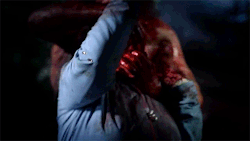 classichorrorblog:  HatchetDirected by Adam Green (2006) 