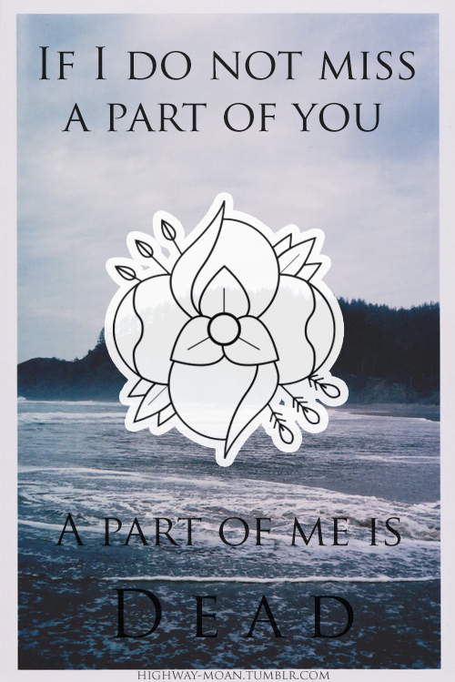 gravespitter:  Andria//La Dispute If I can’t love you as a lover, I will love you