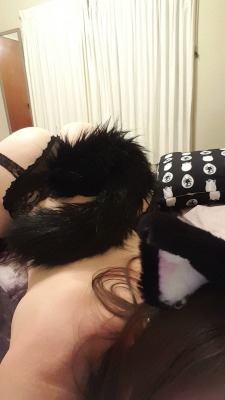 slippery-bits:  Ready to pounce~ Tail and