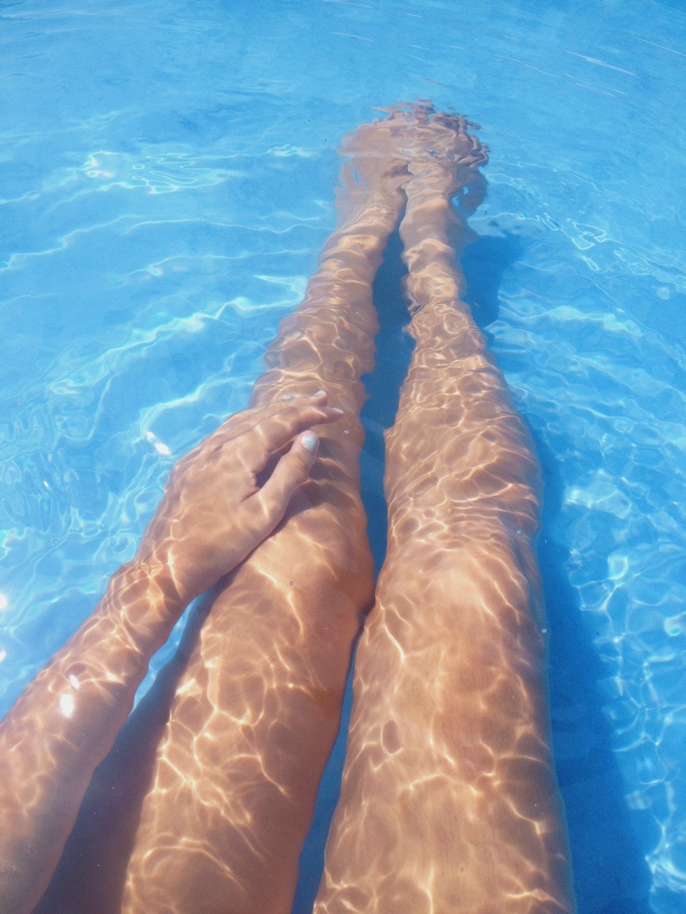 orchid-perfection:  🐠🐟🐬🐳