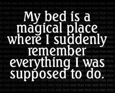 Funny pictures of the day (113 pics) My Bed Is A Magical Place Where I Suddenly Remember Everything