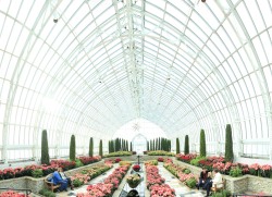 ggrundtner:This photo was taken for my Digital Photography class. I was in the sunken garden room at the Conservatory in Como Park. I took nine consecutive photos and used the photo stitching feature in PhotoShop to bring them together. This is how I