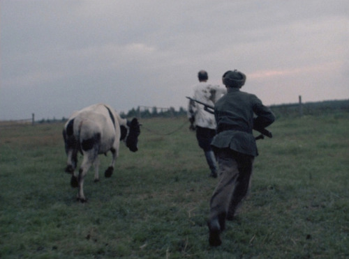 lyingfigure: liinza: Come and See, Elem Klimov, 1985 now THIS is a horror movie 