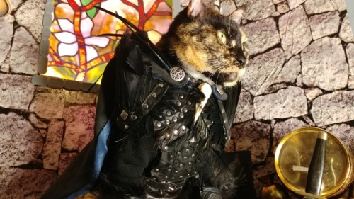 cat-cosplay:“Is this a Dagger, Dagger, Dagger which I see before me…” ~Vax'ildanDebuting Vax'ildan o