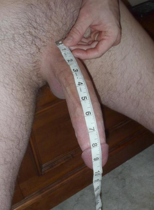 Porn Pics lovecircumcisedmen:   A huge beautiful cock.