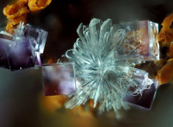 underthescopemineral:  Fluorite, Hemimorphite