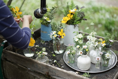 naturaldays:Café La Famille -2- 前回のアップから2ヶ月以上あいてしまったけど茨城県結城市にあるカフェの続きです。オープンの前にお花の準備をしていました。