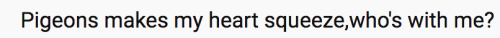 hedgehog-moss:I wish I could let pigeons know that people on the internet love & support them