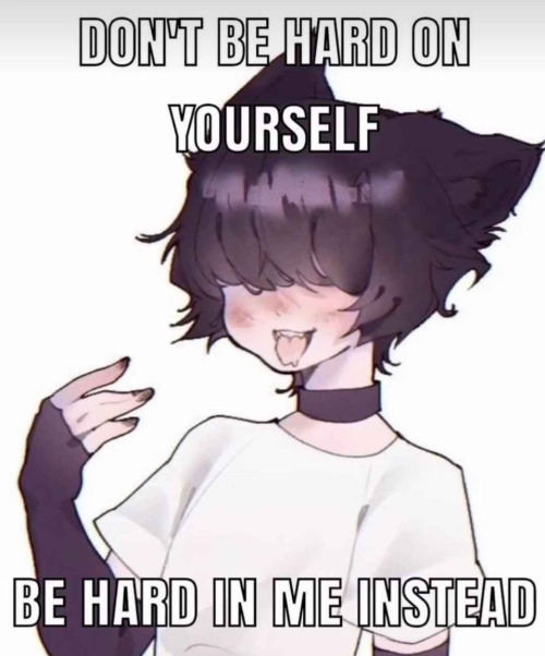 Pwease ( )