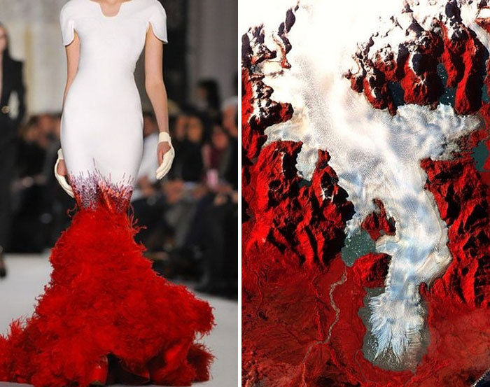 because-b:    Fashion &amp; Nature: Russian Artist Compares Famous Designers’