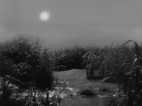 Miss Oyu (Kenji Mizoguchi, 1951)