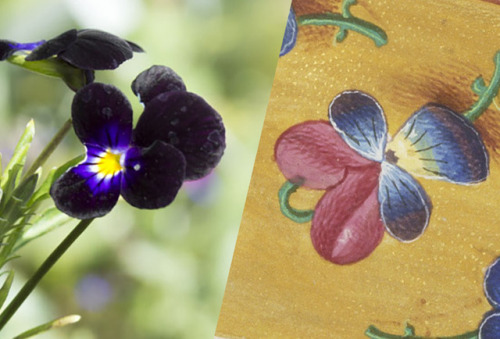 Christian Symbolism in Renaissance FlowersIn Europe during the Renaissance (about A.D. 1400–16