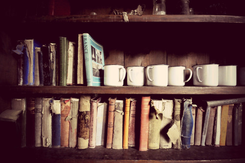 Old Book Case, Tyneham Village.