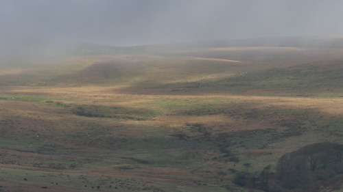 dartmoor