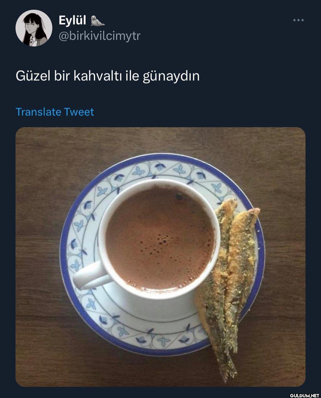 gurme işi   Eylül...