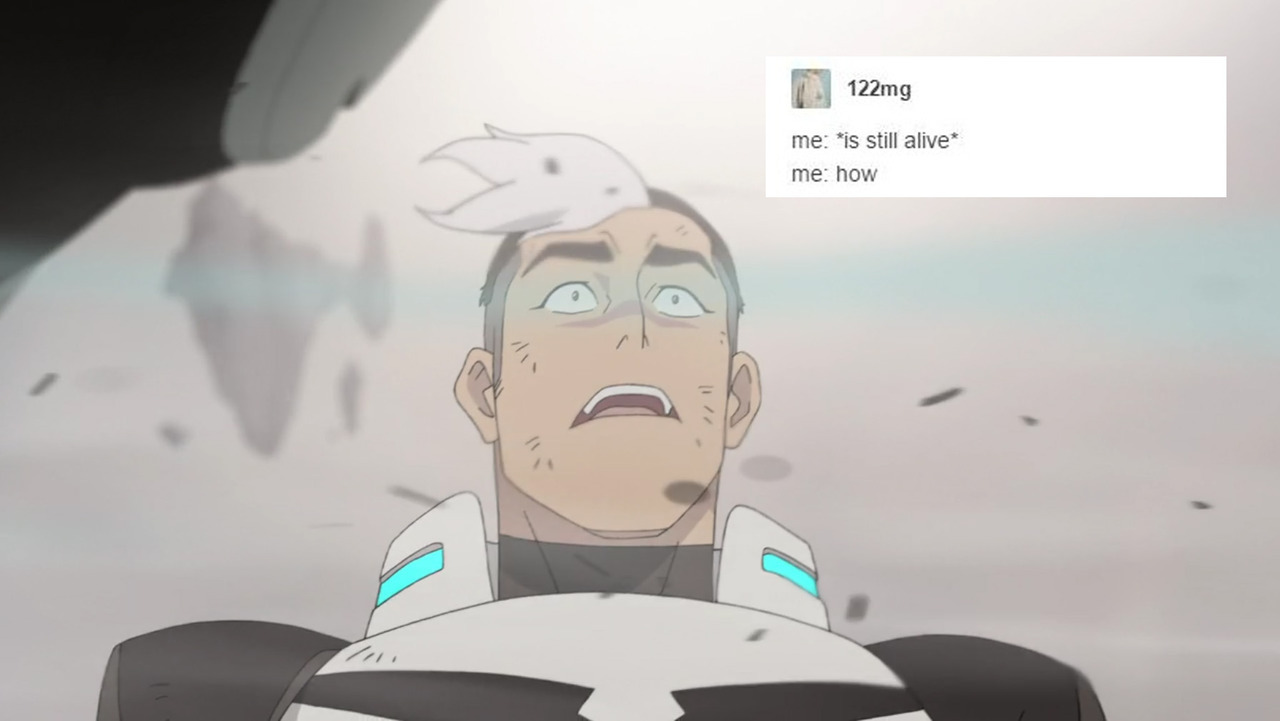 melanshi:  i have so many of these please just take them bonus: 