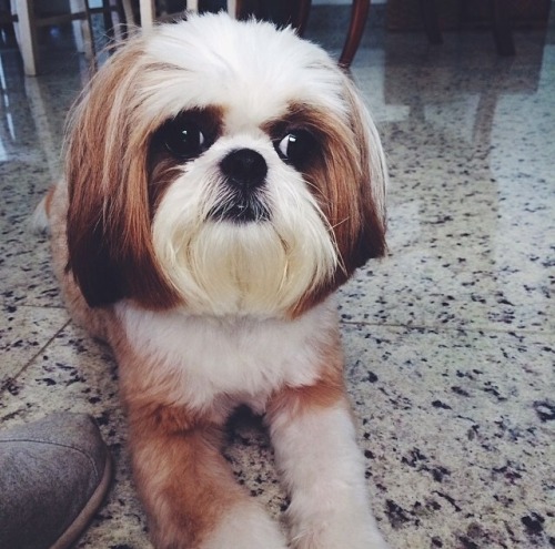 AME