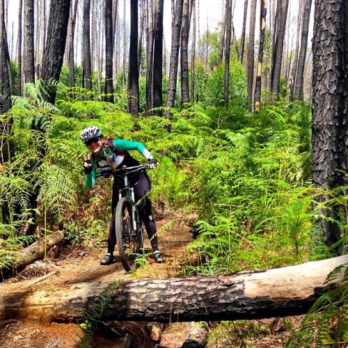gustavoguru: #perdidosnatrilha #mountainbike #mtb #btt #vtt #bike #bikegirl #brasilia #specialized #