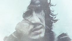 catelyn-stark:  The Starks are always right eventually: winter is coming. 