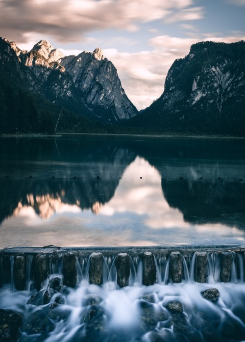 accio-forest:Toblach, Northern Italy | By Niels Oberson