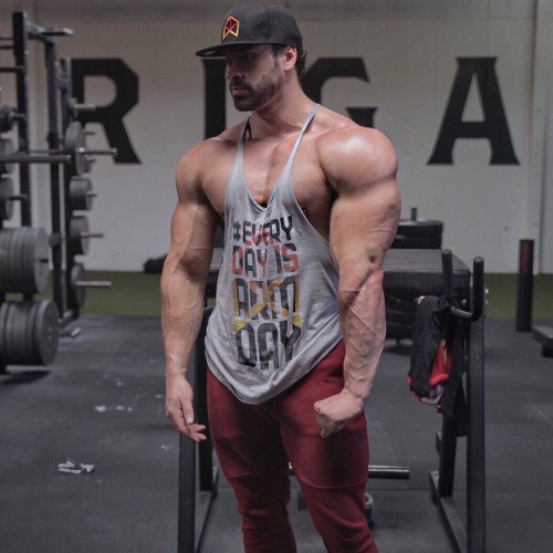 Adonis Files