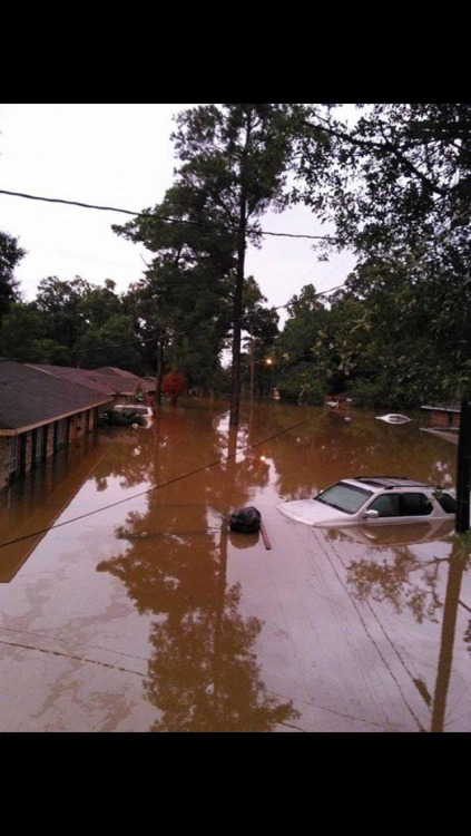 momweed:  velveteen-venus:  As per usual, the media is doing a fucking joke of a job reporting a natural disaster…meanwhile covering Trump and Clinton for 8 hours a goddamn day. If you’re looking to help out southern Louisiana, here’s how.  Items