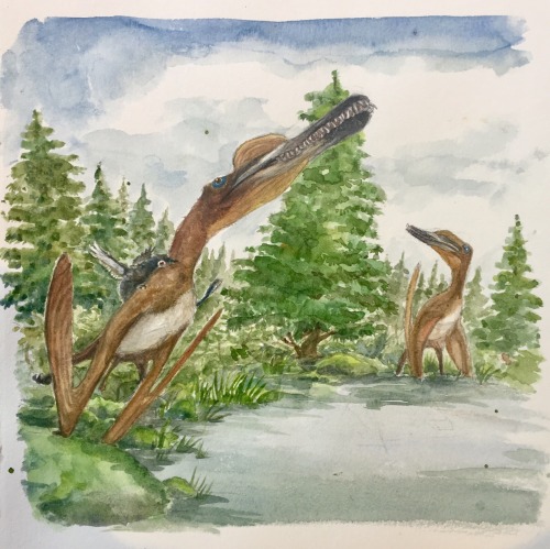 iguanodont: A startled zhenyuanopterus launches itself skyward upon ambush by a less than graceful j