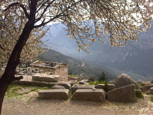 book-of-flights:The archaeological site of Delphi remains one of my favourite places in Greece. Sadl