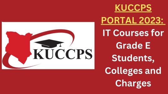 KUCCPS 2023: IT Courses for Grade E Students, Colleges and Charges