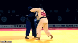 juji-gatame:  What a great throw!Really sneaky