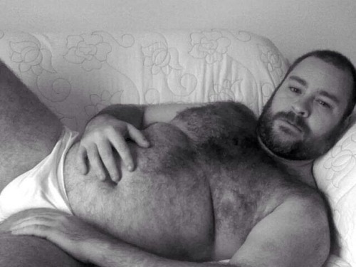 Big Sexy Bears